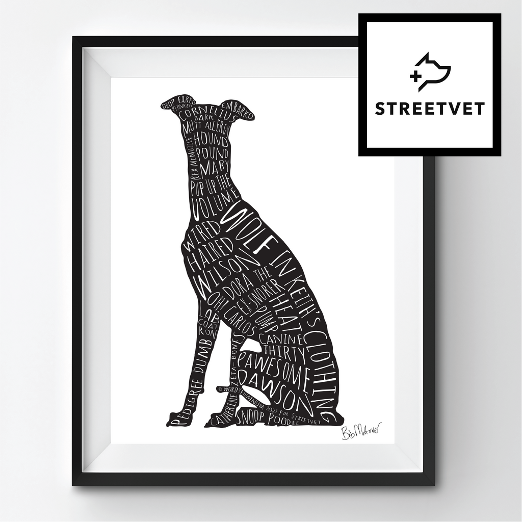 'OH CARLOS!' A3 PRINT FOR STREETVET