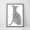 THE ITALIAN GREYHOUND