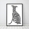 THE ITALIAN GREYHOUND