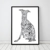 THE ITALIAN GREYHOUND